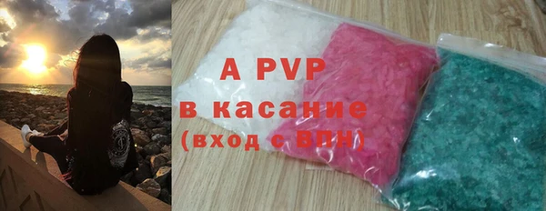 стаф Вязьма