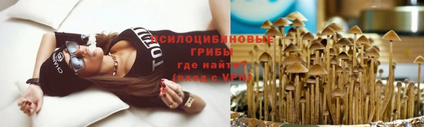 jwh Вяземский