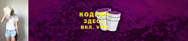 PSILOCYBIN Каменка