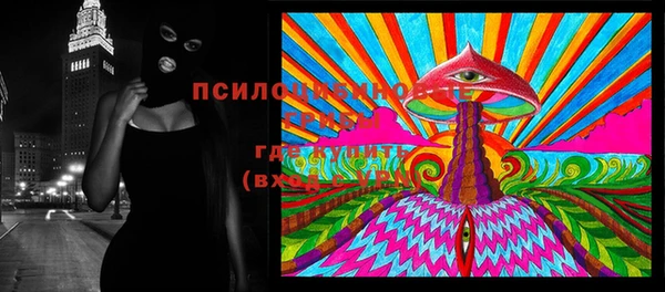 МДПВ Абинск