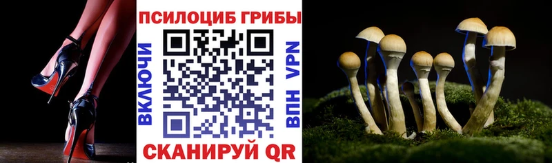 Галлюциногенные грибы мухоморы Южноуральск