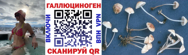 Псилоцибиновые грибы мухоморы  Южноуральск 